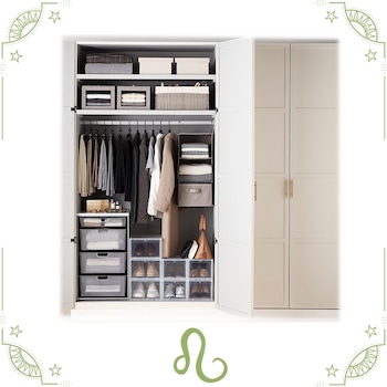 E-Comm: January Horoscopes, Leo